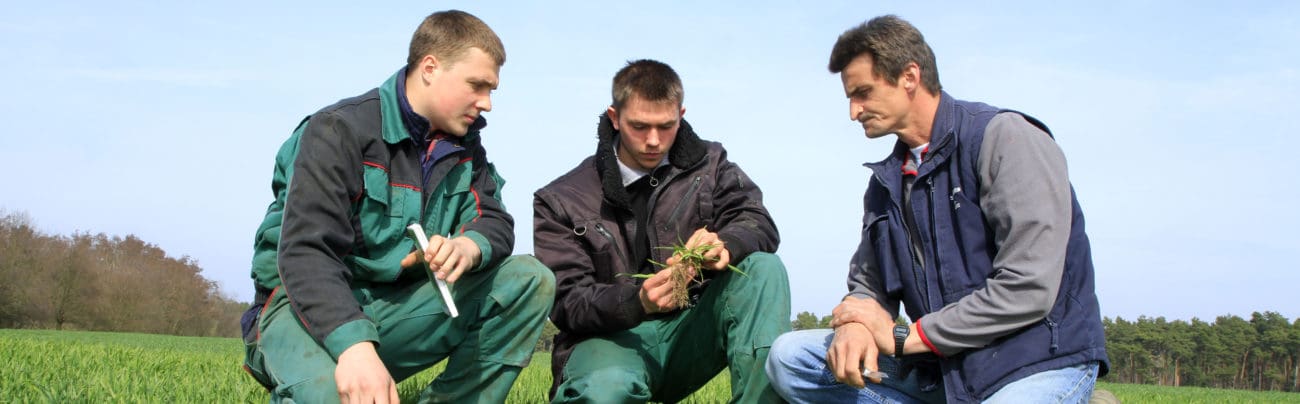 Spezialisierung Landwirtschaft zusammen Spezialisierung Landwirtschaft zusammen