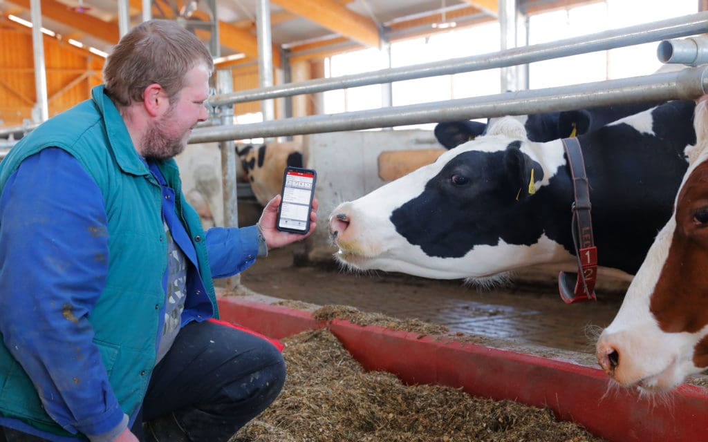 Kuh-Ortung mit Smartphone