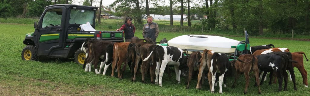 Rohmilch Milchaustauschertränke