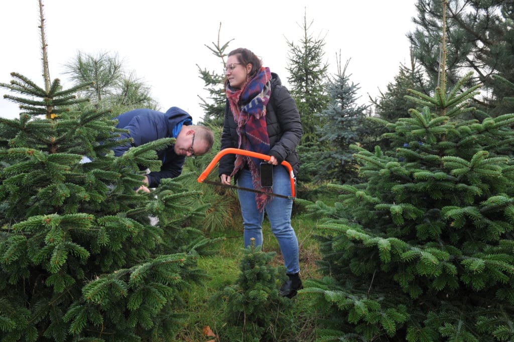 O, Tannenbaum, o, Tannenbaum … Bauernzeitung