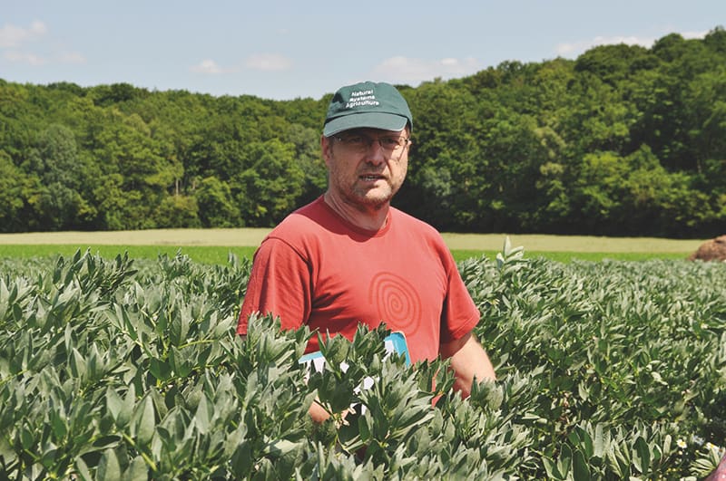 Leguminosen Werner Vogt Kaute