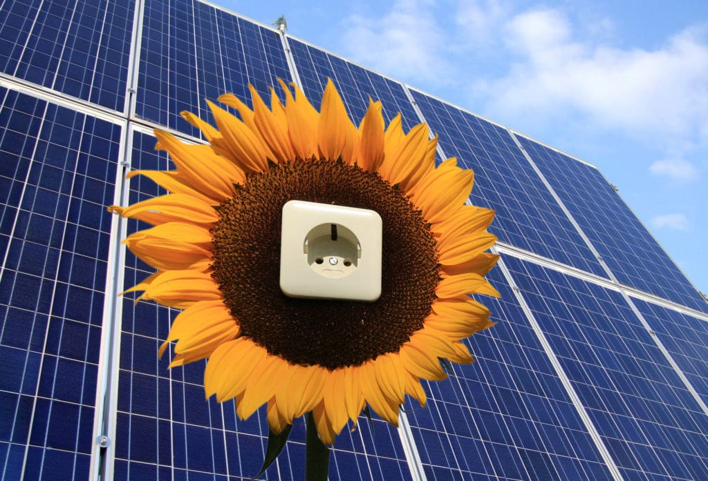 Photovoltaikanlagen und Klimaschutz, Solarpaneele mit Sonnenblume und Steckdose