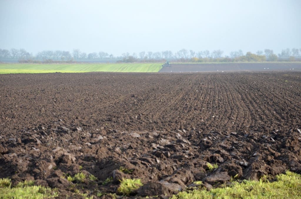 BVVG in Sachsen-Anhalt privatisiert landwirtschaftliche Flächen