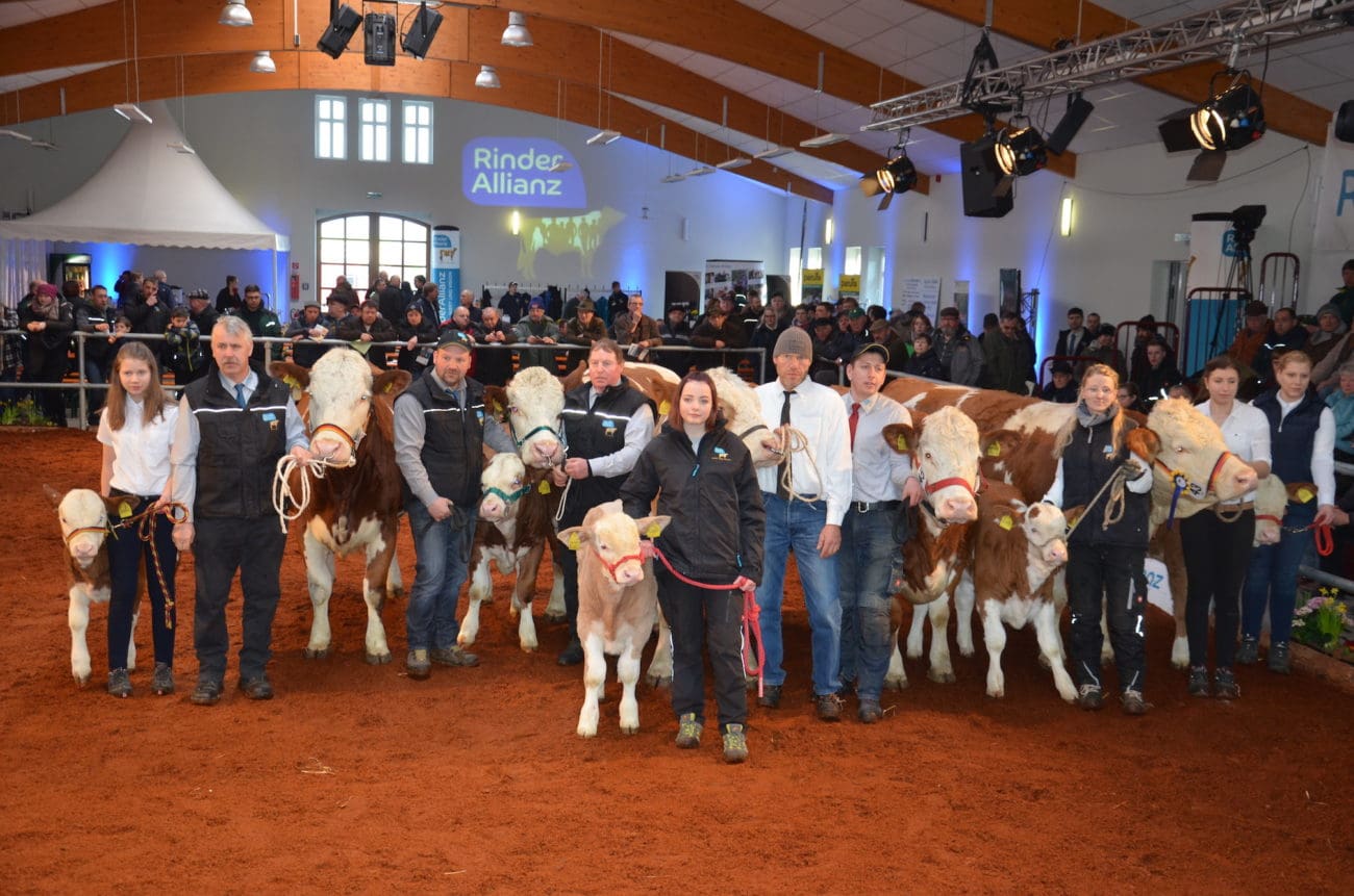 Fleckvieh auf der Landesschau zur Fleischrind Vision 2018