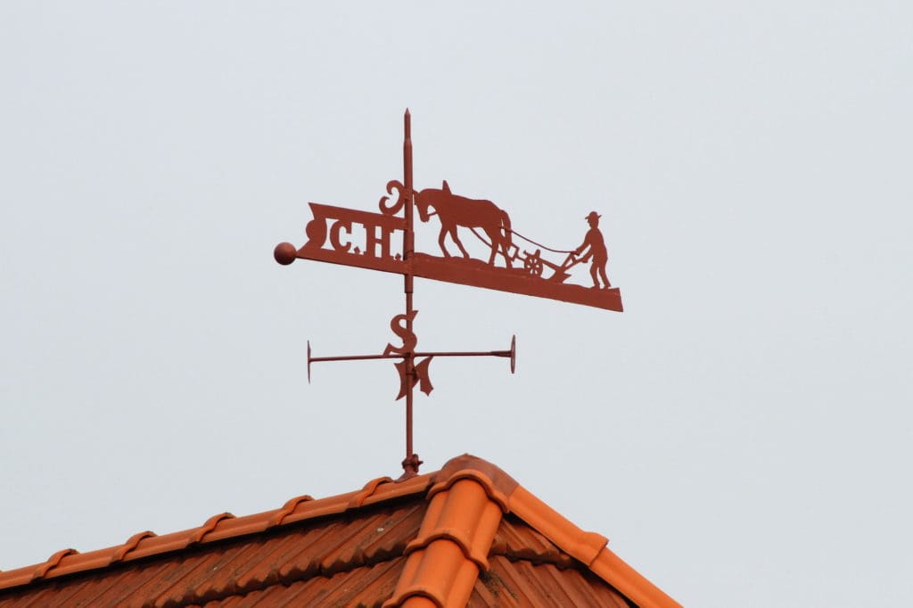 Wohin der Wind sich dreht und woher jetzt Unterstützung kommen kann, ist momentan nicht leicht zu überblicken. © Foto: Sabine Rübensaat