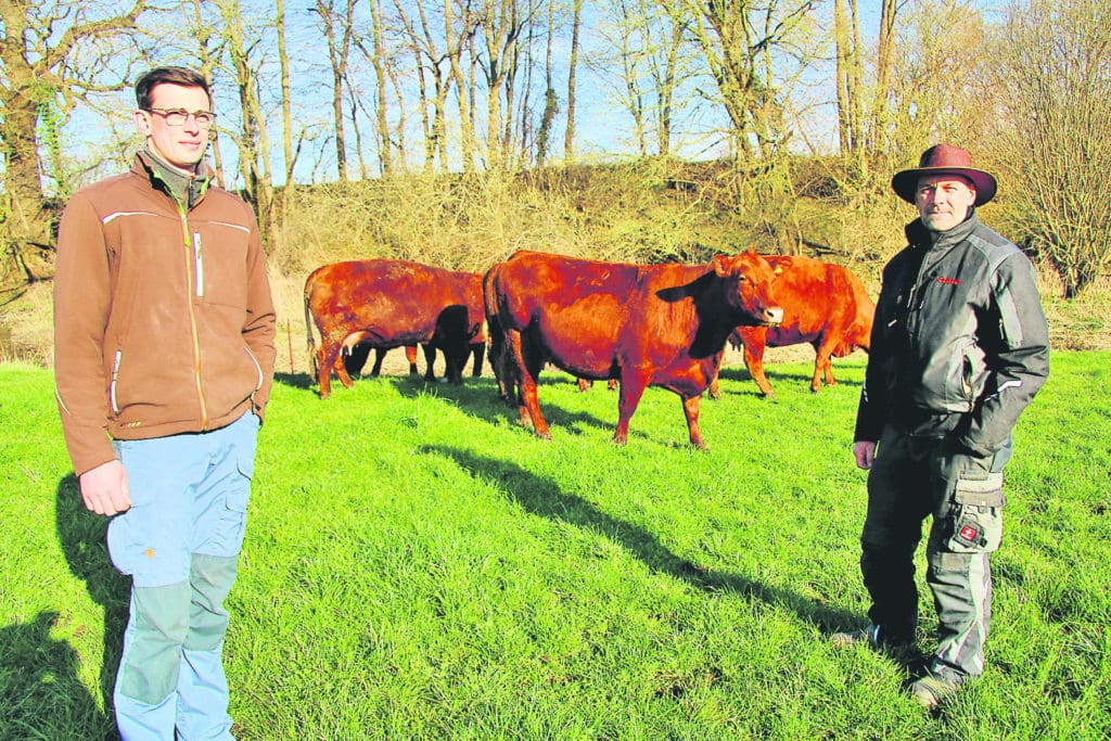 Ingo Glanert und Mathias Peters bei ihren Rindern in Bonnhagen. Die Weide liegt nahe am elterlichen Bauernhof, auf dem vier Generationen der Familie Peters leben. Der Niedermoorstandort neben dem Flüsschen Radegast trocknet meist erst spät im Frühjahr ab, bietet aber bei ausbleibendem Niederschlag länger Aufwuchs als andere Weide-Standorte.