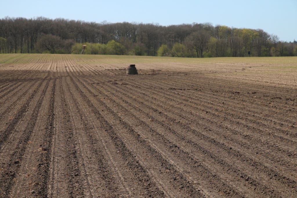 Auf dem Hallenschlag nahe Blankenhagen standen vor Zuckerrüben (und Wintergerste) Zwischenfrüchte. Das minderte den Erosionsschaden erheblich.