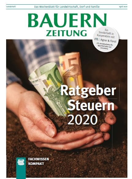 Steuerratgeber