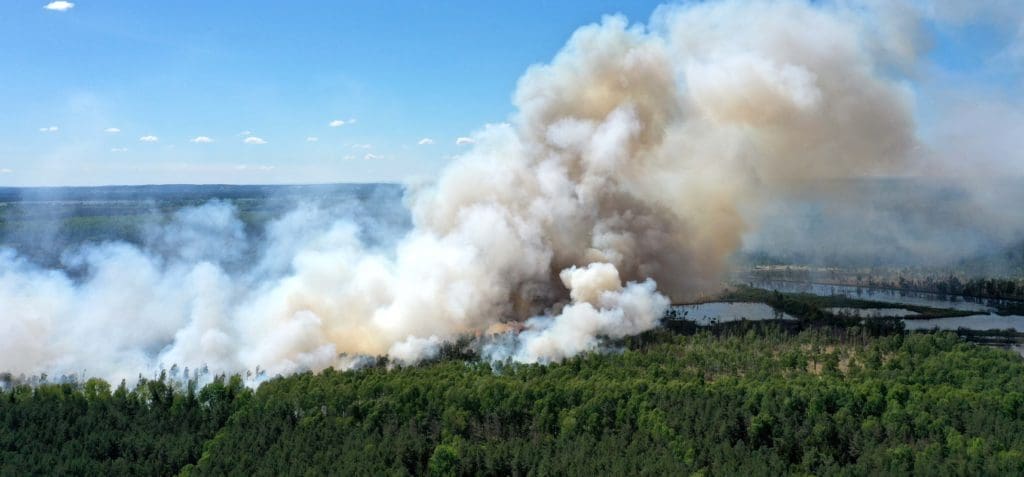 Riesiger Waldbrand im Loben- Moor zwischen Gorden, Hohenleipisch, Döllingen und Plessa - Ein mächtiger Waldbrand hat am Freitag den Himmel über Hohenleipisch verdunkelt. Gegen 10.00 Uhr hatten mehrere Turmkameras der Waldbrandüberwachung eine Rauchentwicklung zwischen Gorden, Hohenleipisch, Döllingen und Plessa im Bereich der sogenannten Seerosenteiche entdeckt.