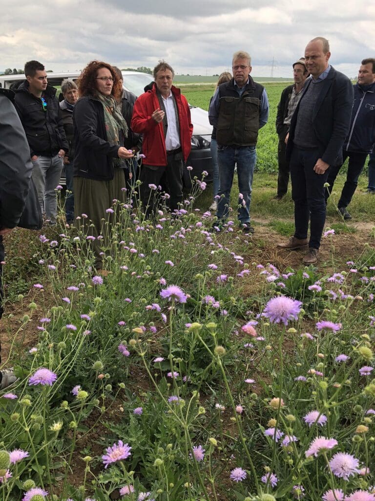 Eine Gruppe von Menschen steht am Rande eines Feldes, das zur Wildpflanzenvermehrung genutzt wird. Rechts steht der sächsische Landwirtschaftsminister.