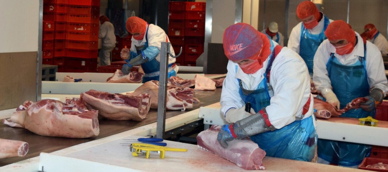 Fleischer zerlegen Schweinehälften.
