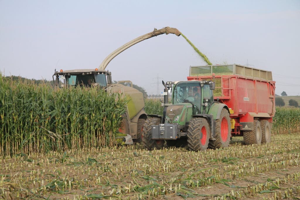 Maishäcksler beim Maishäckseln bei der Agrofarm Lüssow