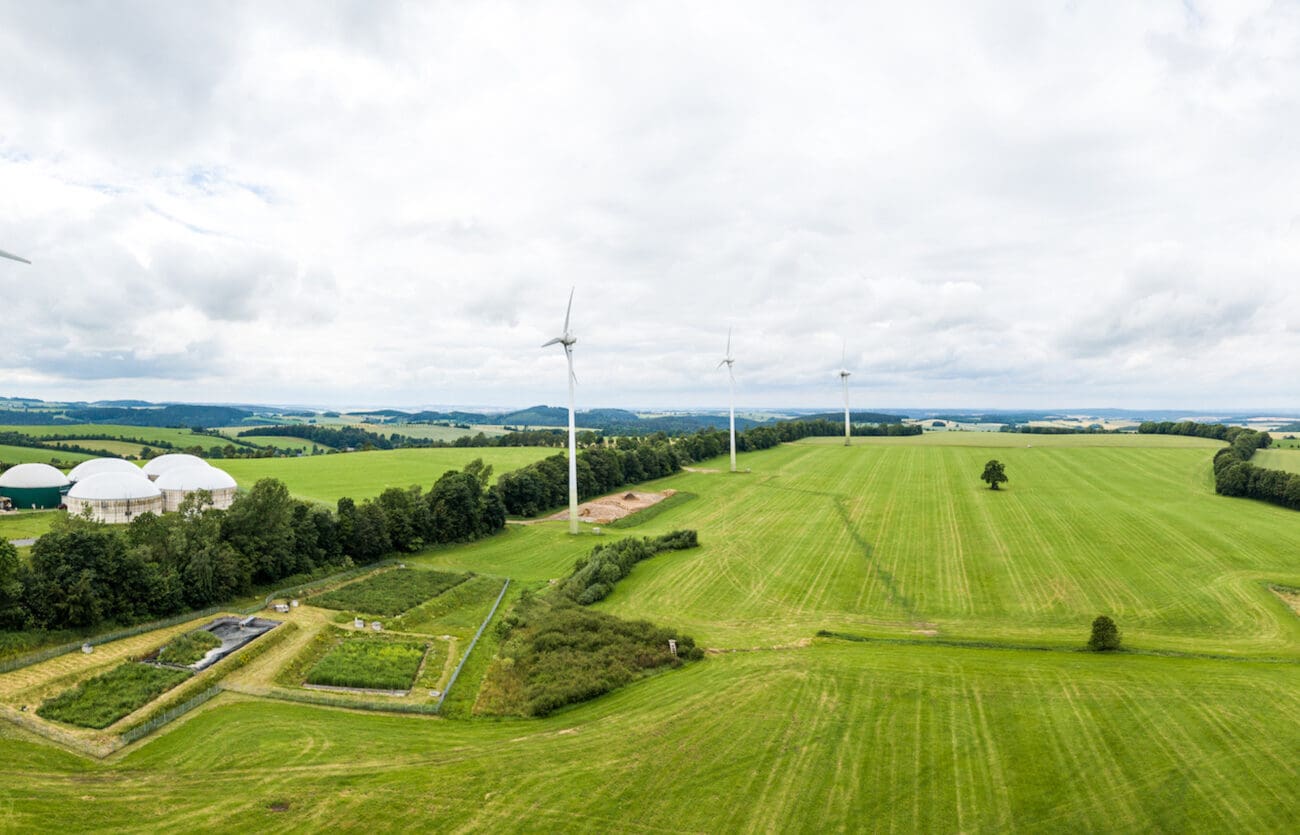 Schutzbiotop in Nachbarschaft zur Biogasanlage der Sadisdorfer Agrar AG: Durch die Behandlung der Silolabfl üsse in einem Bodenfi lter (l.) konnte sich inmitten des intensiv genutzten Grünlandes eine der heute seltenen Nasswiesen auf ca. 7.000 m2 etablieren (Dreiecksfläche rechts). Seit 2017 ist diese Fläche in der Obhut der Osterzgebirgischen Landschaftspflege GmbH. (c) Martin Freitag