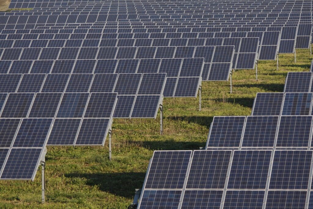 Solarzellen auf einem Feld