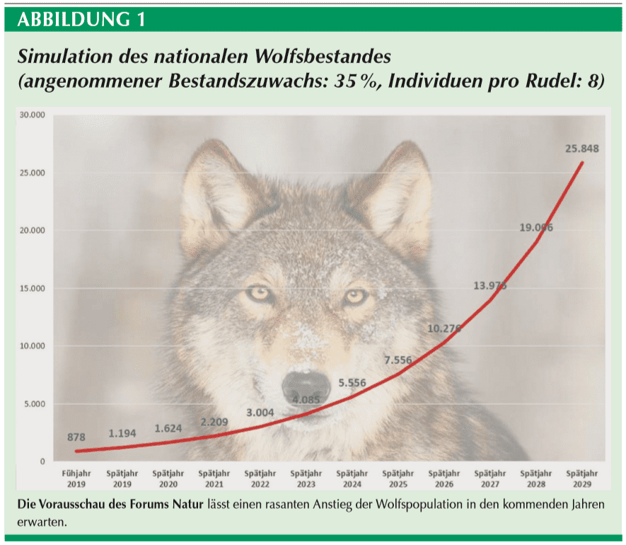 Abbildung