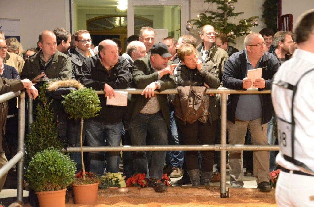 Zuschauer bei der Show