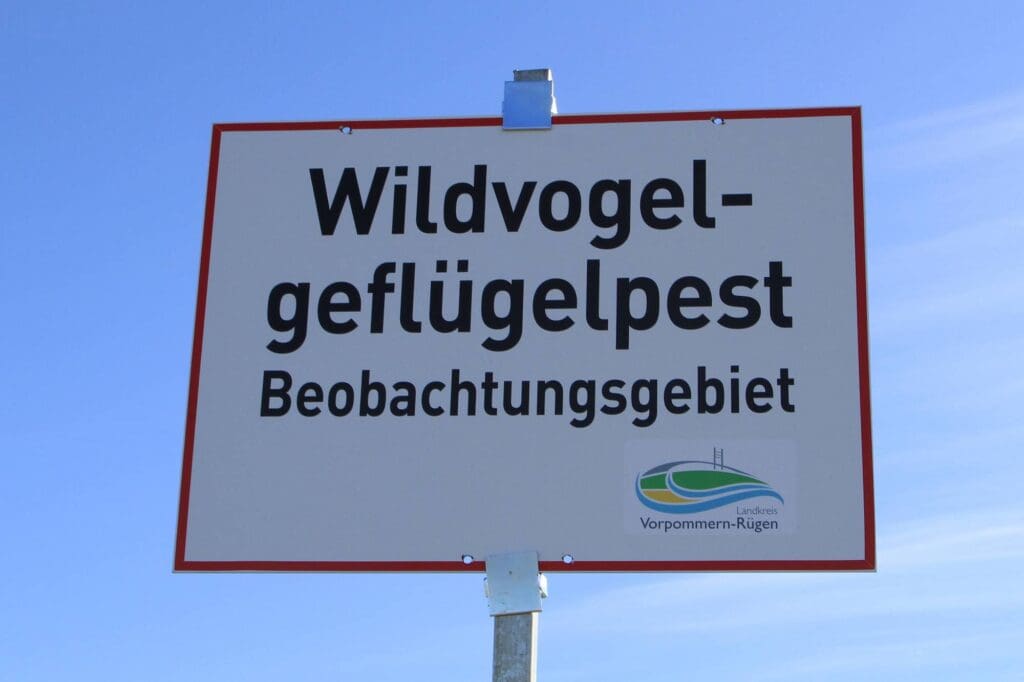 Schild, Rügen auf ein Schild, das auf ein Wildvogel-Geflügelpest Beobachtungsgebiet hinweist.