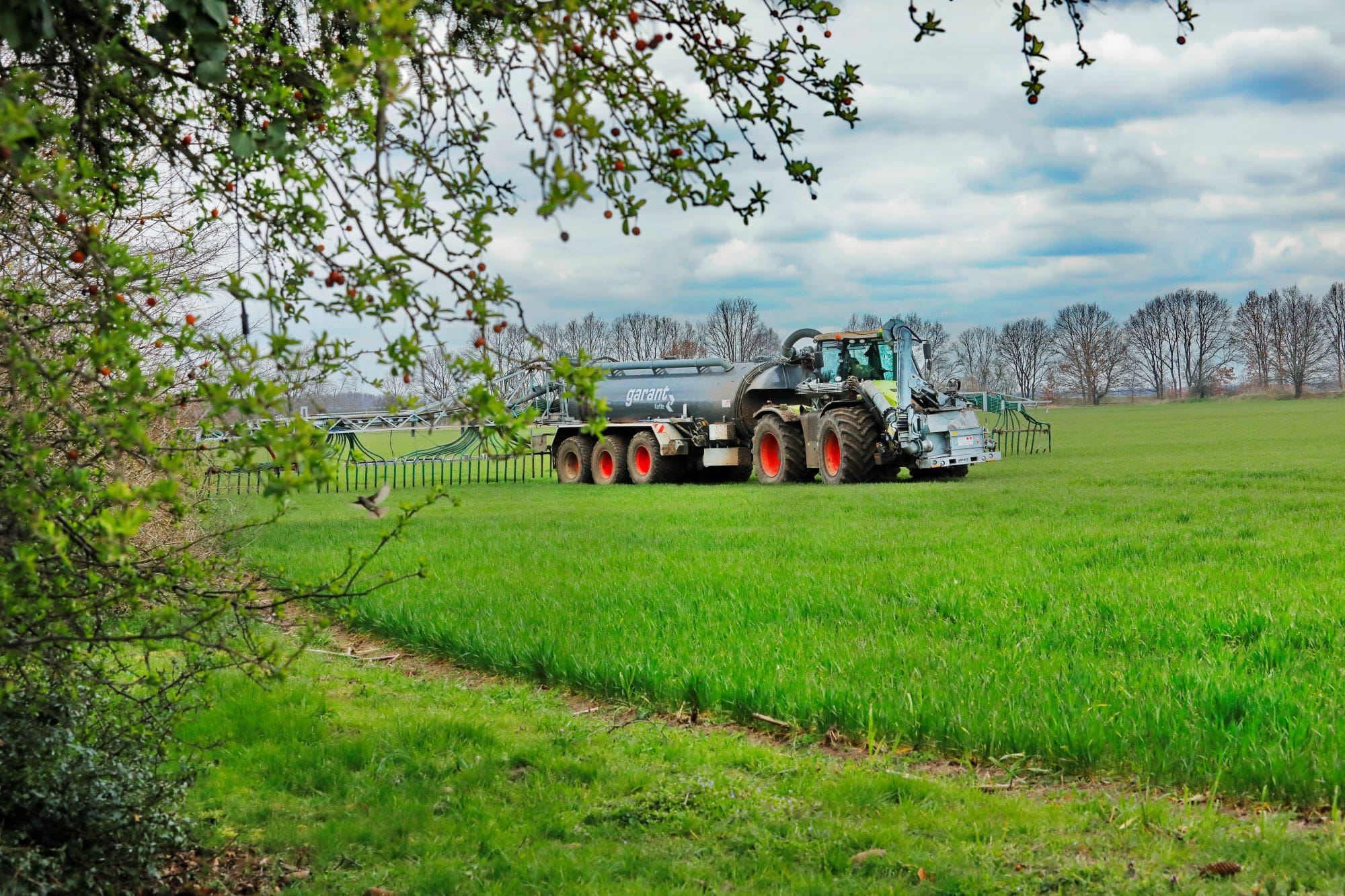„Investitionsprogramm Landwirtschaft“: Förderung startet in neue Runde