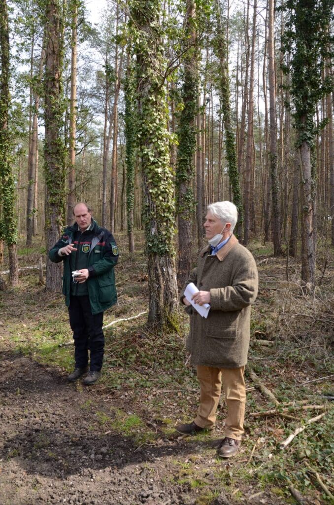 In einem Kiefernwald stehen Landesforstpräsident Utz Hempfling (l.) und der Vorsitzende des Sächsischen Waldbesitzerverbandes, Reinhard Müller-Schönau, und gestikulieren.