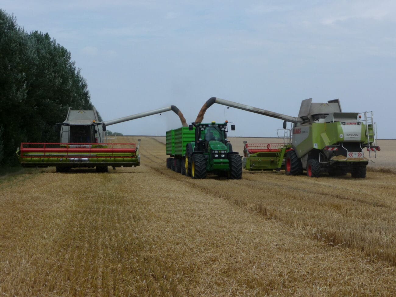 Aufmacher_P1010395_Bildgröße ändern Mähdrusch auf dem Feld