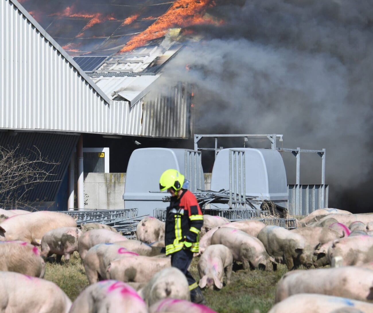 DEL_20210413130835_236946828 Bei der Brandkastastrophe von Alt Tellin (MV) war die Photovoltaikanlage nach jetzigem Kenntnisstand nicht der Auslöser. Die brennenden Module machten das Löschen aber auch nicht einfacher.
