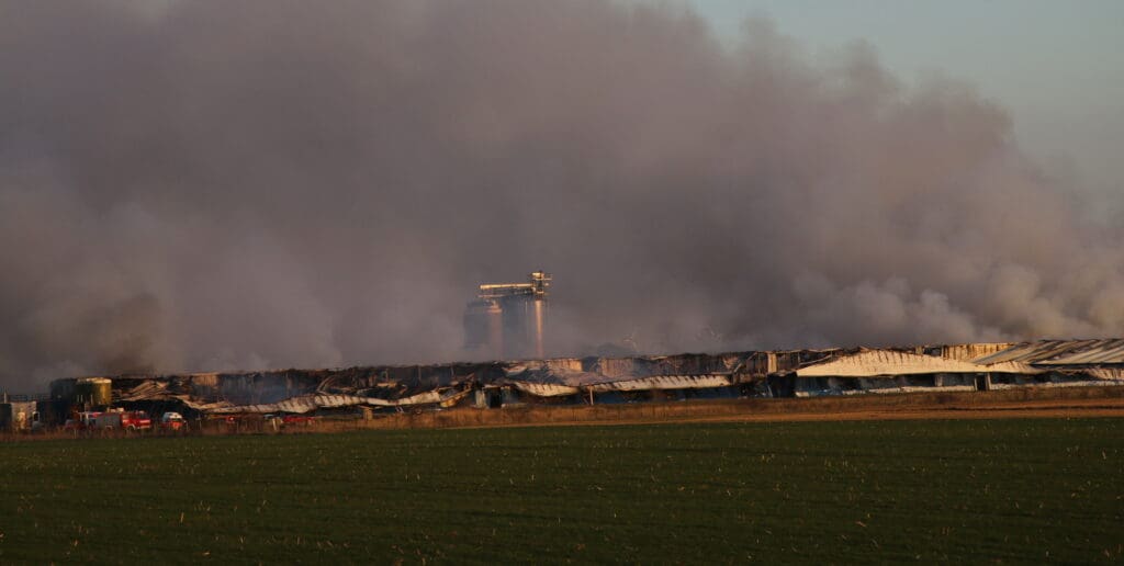 Während des Brandes in der Sauenhaltungsanlage Alt Tellin.