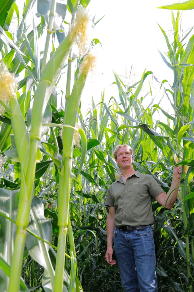 Landwirt Jan-Derk Koning in seinem - ausgesprochen hohen - Mais