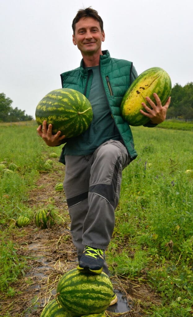 Attila Puszti