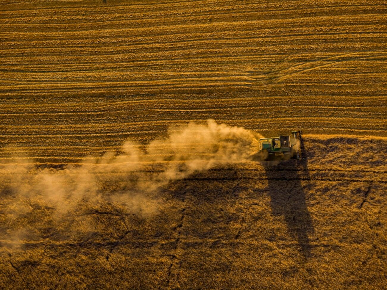 Feldtag-AgriSens-DEMMIN4.0-imago0129509889h Ernte Ein Mähdrescher erntet ein Getreidefald ab. Hohnstein Sachsen