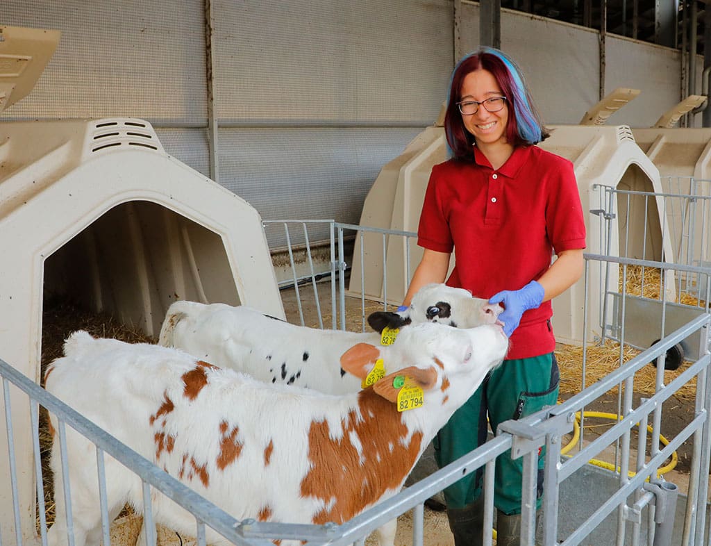 Tierwirtin versorgt Kälber