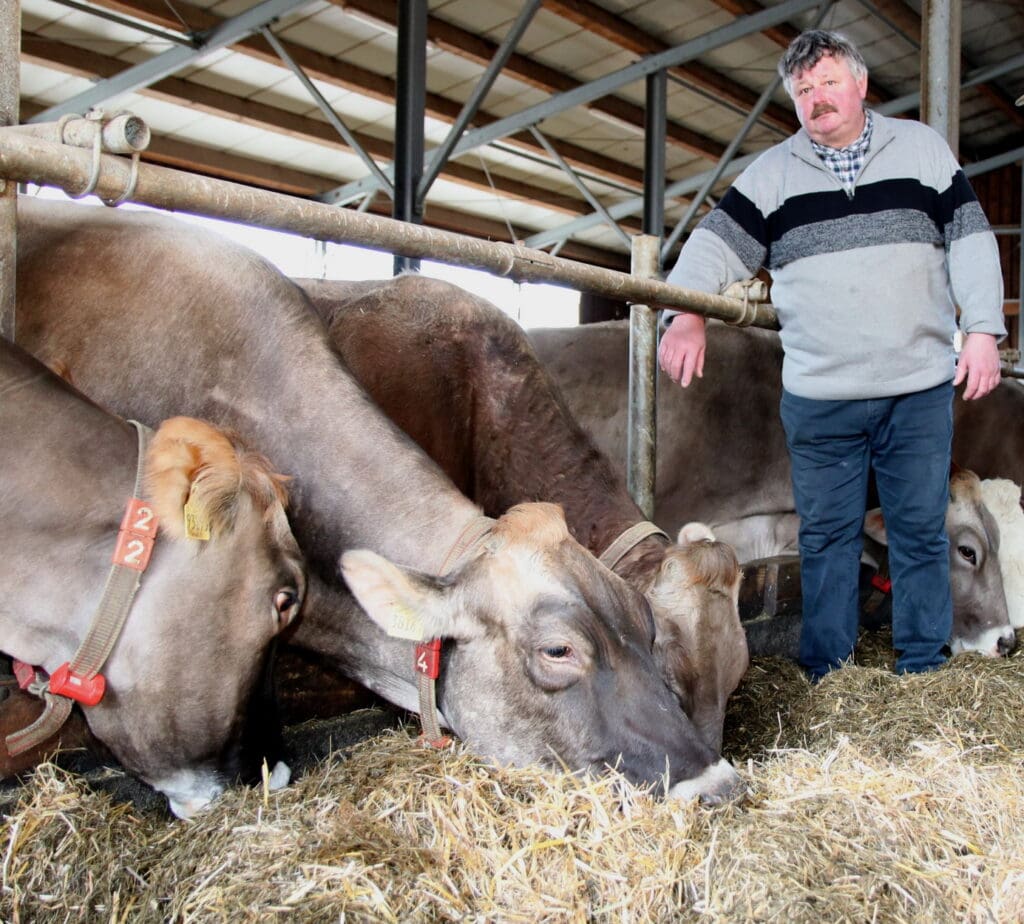 Der Landwirtschaftsbetrieb  von Jörg Nestler  aus Rittersgrün  ist wichtigster  Geschäftspartner  des Schlachtbetriebes.