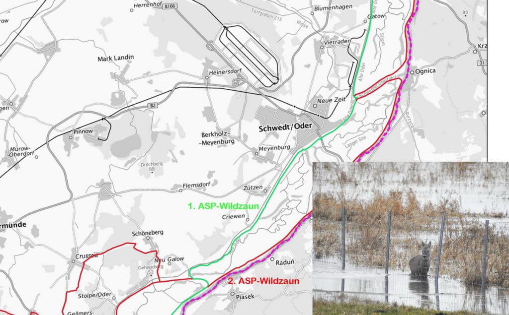 Die Karte zeigt den Verlauf der ASP-Zäune: grün der erste, rot der zweite.