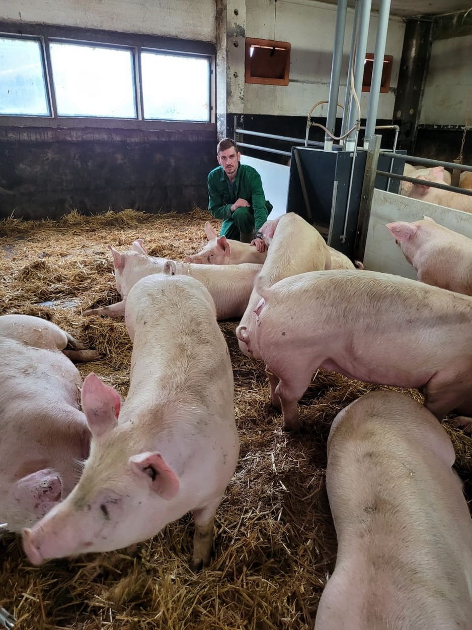 Agrargenossenschaft Ranzig Schweinemast, Denny Poethke bei den Mastschweinen, die