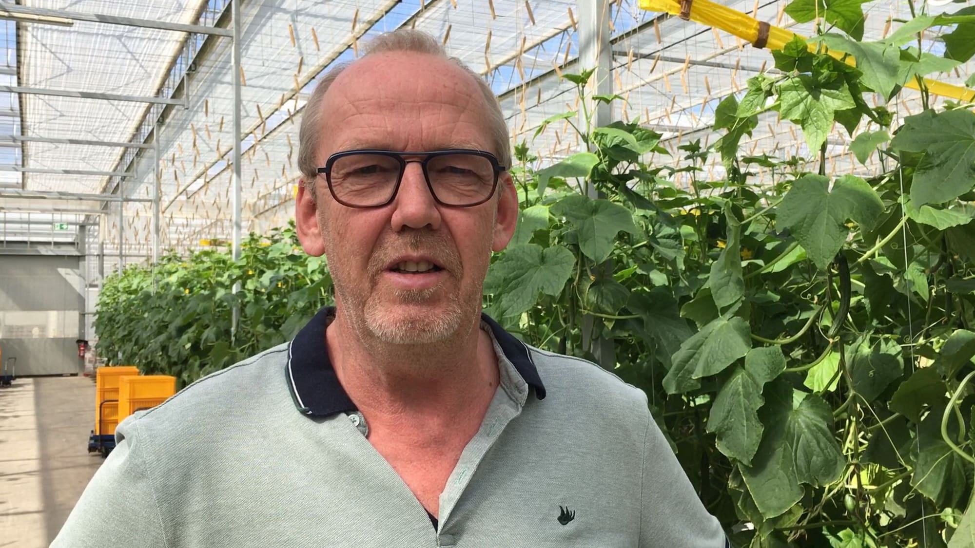 Gartenbauingenieur Jos Houwen ist als Betriebsleiter für die Produktion im Bördegarten in Osterweddingen verantwortlich. 