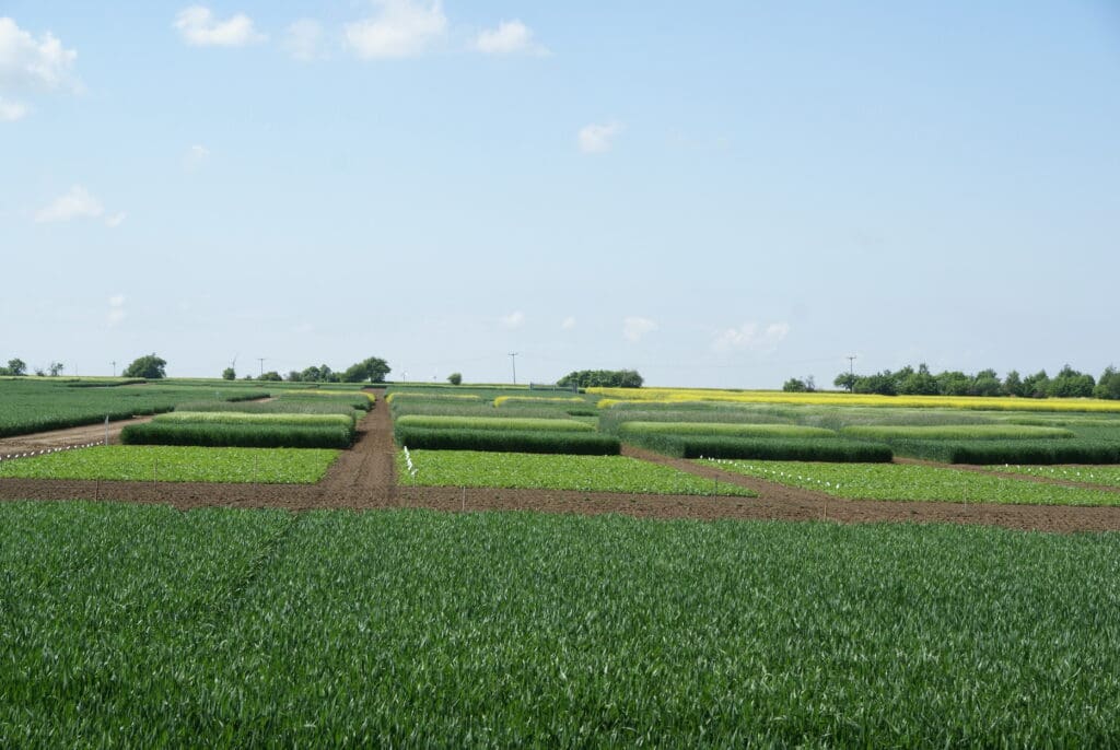 Bernburgs grüner Campus mit 55 ha Versuchsfeldfl äche, zahlreichen Projektgärten  und Versuchsanlagen sowie modernsten Laboren bietet exzellente Experimentalplätze  für die Lehre und angewandte Forschung.