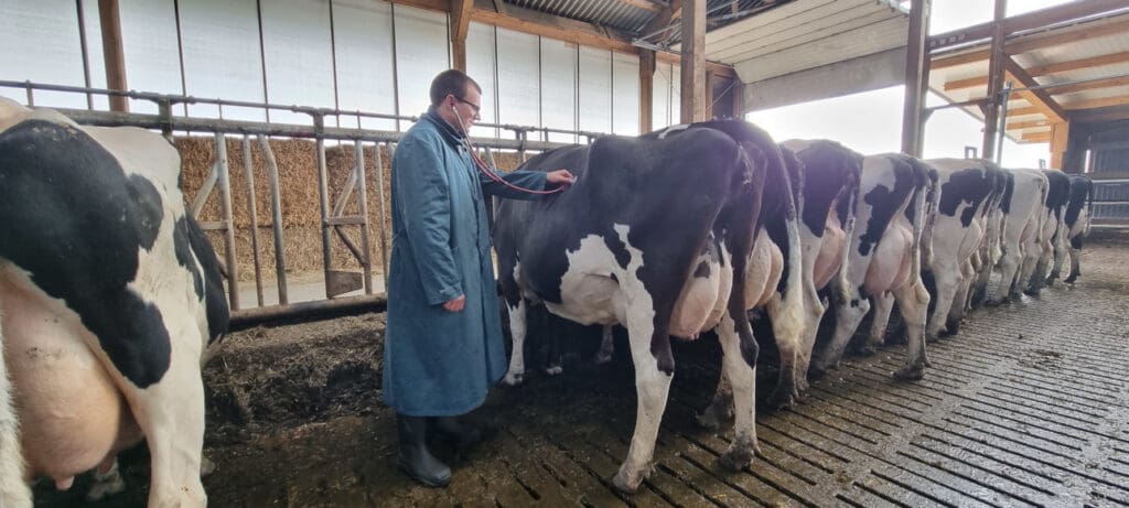 Dr. Jan Hendrik Steudtner bei der Vorsorge im Milchkuhstall