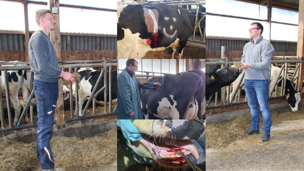 Von Aczidose bis Zahn-OP – die kurative Tätigkeit von Tierärzten wird weiterhin ihre Bedeutung haben, aber die Prophylaxe und präventive Maßnahmen müssen vermehrt zum Einsatz kommen. Der Blick des Tierarztes auf Hungergruben, Milchinhaltsstoffe und die TMR ist sinnvoll