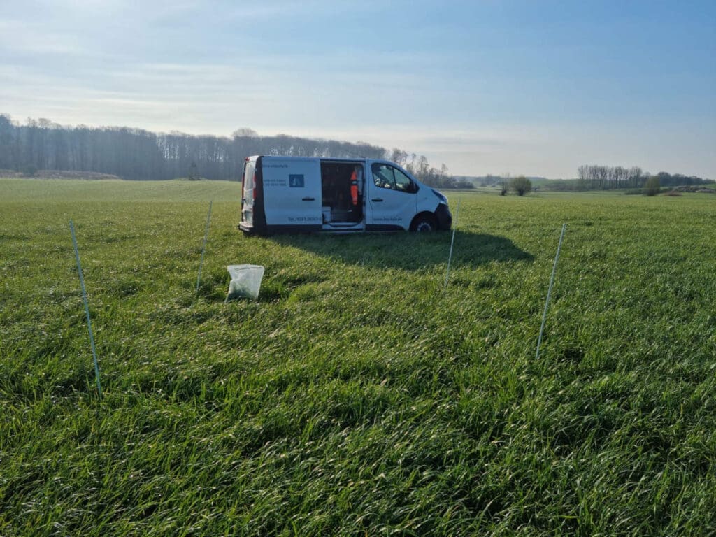 Dieser Ackergrasbestand bein Grevesmühlen hat sich gut entwickelt., Futter aktuell 2022