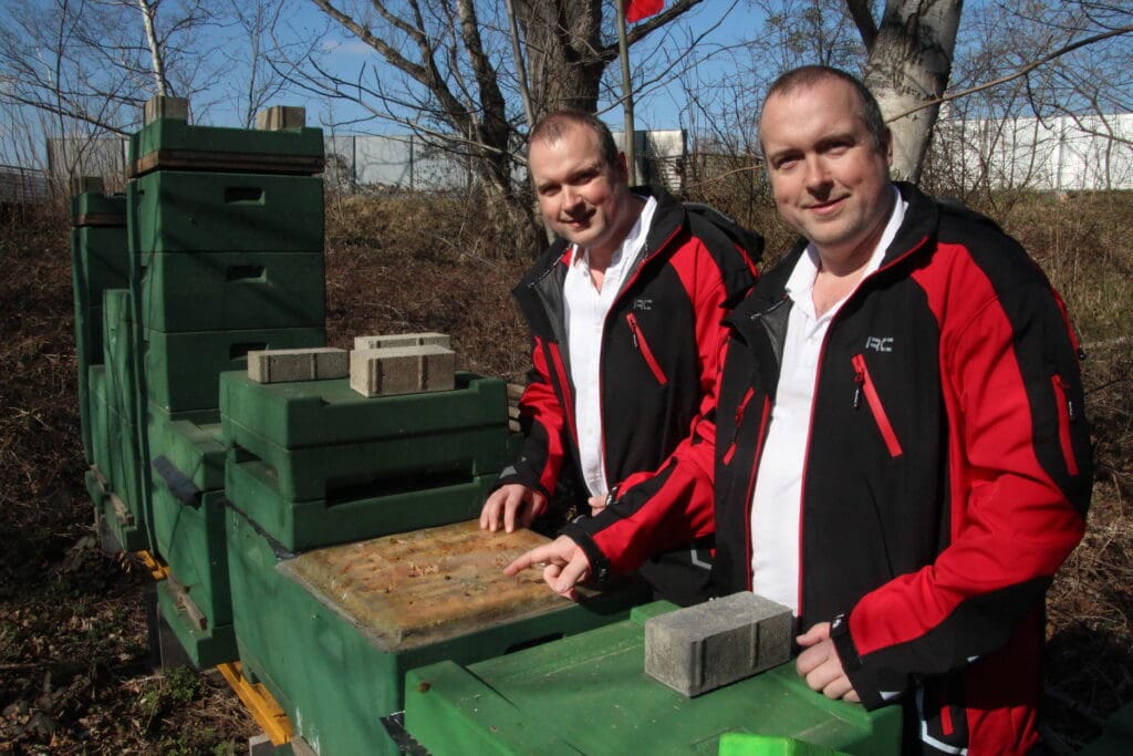 Einmal pro Woche arbeiten die beiden Imker an ihrem Bienenstand im Bürgerpark Wernigerode.