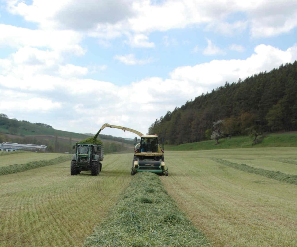 Nach dem Häckseln des Futterroggens folgte das Miststreuen, Pflügen und Grubbern © Frank Hartmann  