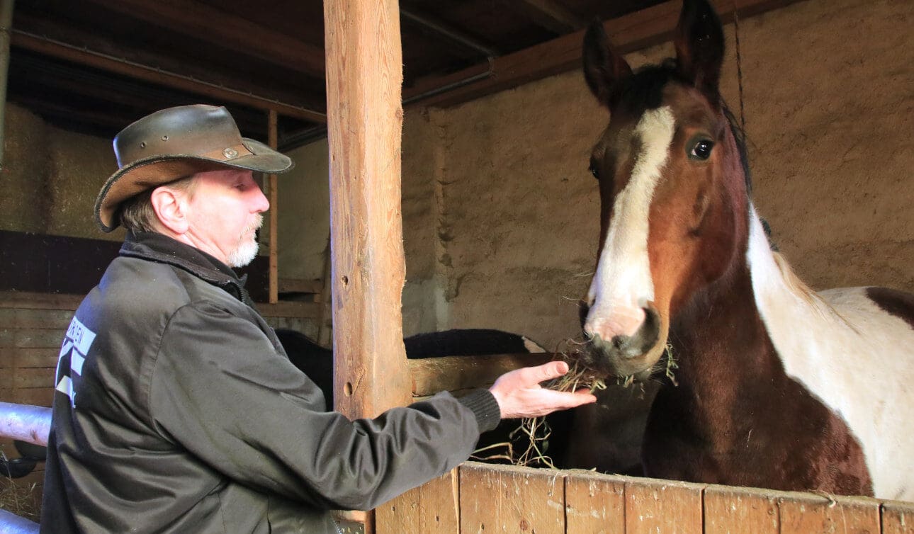 Thomas Schröder_Pferd Von Westernpferden hat sich Thomas Schröder noch nicht ganz getrennt.