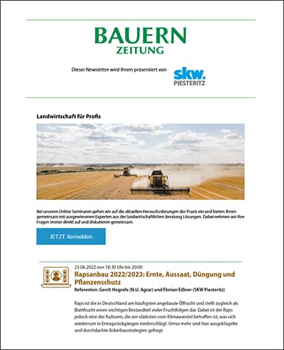 Standalone Newsletter