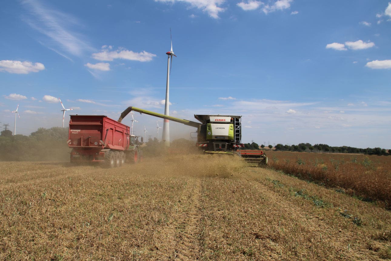 Agrofarm eG Lüssow Getreideernte 2022_ Getreidetrockner (2) Staubtrockene Ernte sorgt dafür, dass die erst im vergangenen Jahr in Betrieb genommene Trocknungsanlage größtenteils stillsteht.