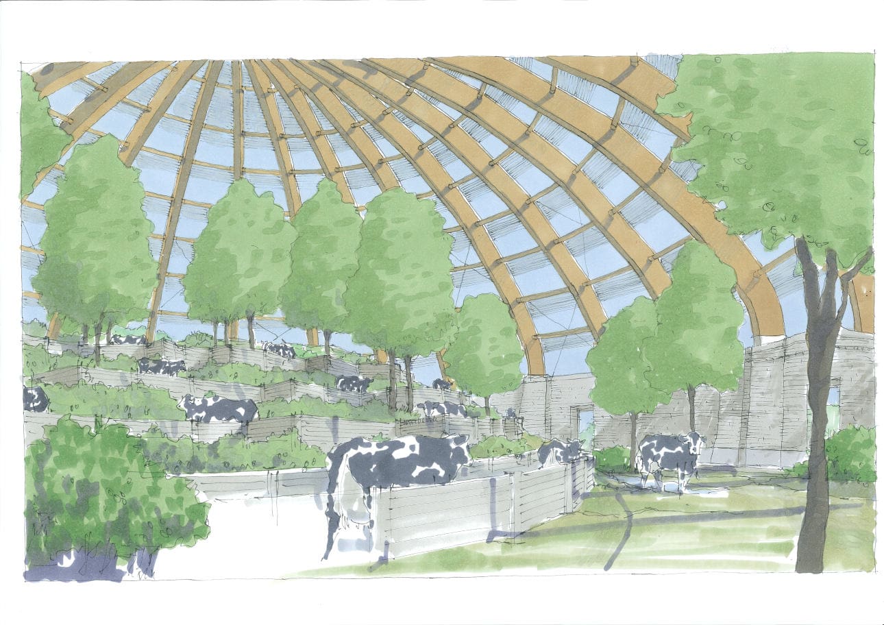 Aufmacher_Foto 4_Bewegungs-Therapiemodul-Visualisierung_Innenansicht Ein neues Stallkonzept bringt die Alm unters Stalldach. Im Konzept des vollautomatischen, klimatisierten Stalls wurden die Vorzüge der Weidehaltung in den geschlossenen Stall integriert.