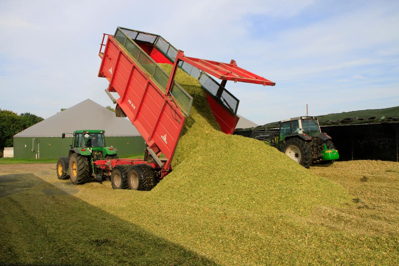 Maissilage Das Befüllen ist so zu planen, dass verdichtete Silobereiche tagfertig abgedeckt werden können. Das unterbindet den Gasaustausch und nimmt Schimmel und Hefepilzen den Sauerstoff.