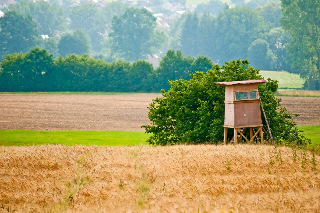 hunting stand , 2973471.jpg, bright, cabin, color, day, environment, field, forest, green, hide, high, hunt, hunting, la Hochstand im Feld