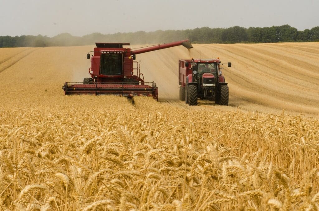 Mähdrescher und Traktor bei der Ernte