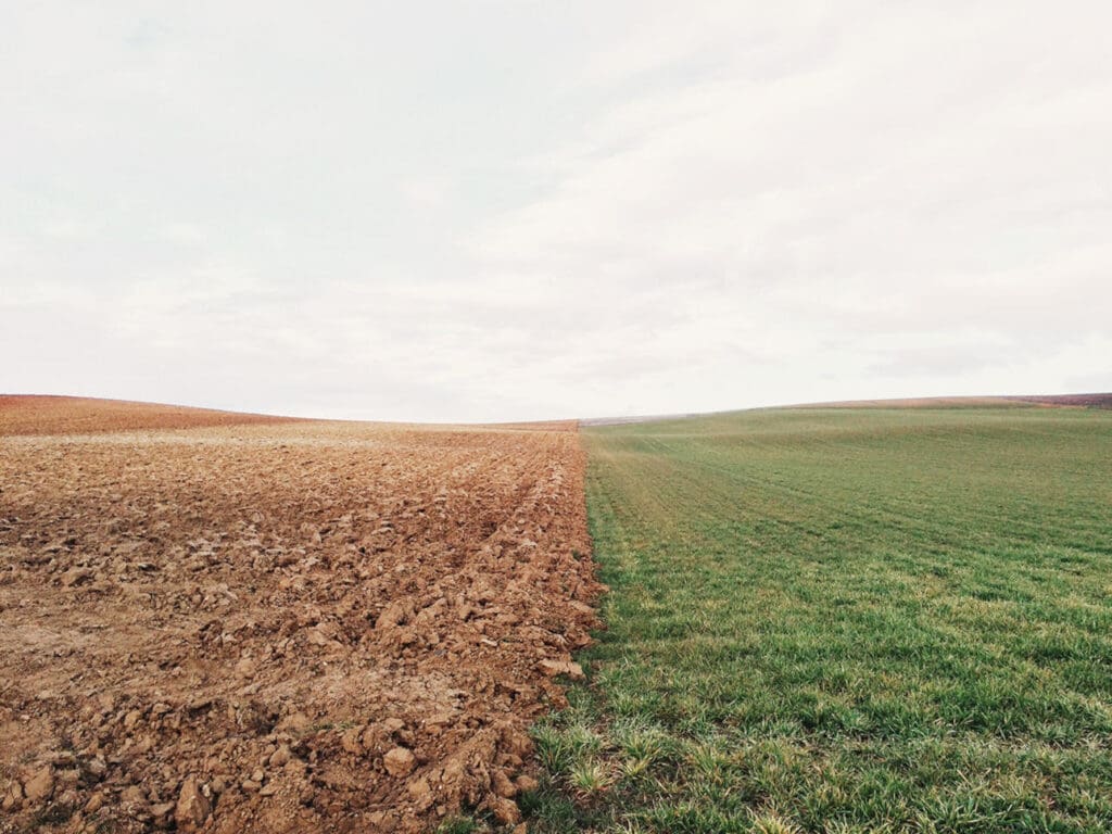 Landwirtschaft in Zeiten der Dürre und Wetterextremen