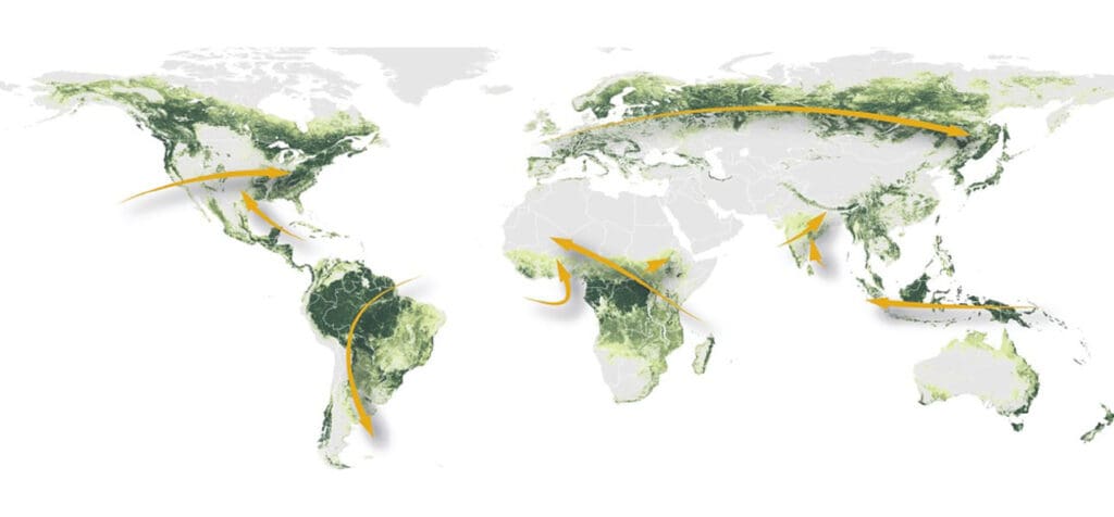 Weltkarte der sogenannten Fliegenden Flüsse 