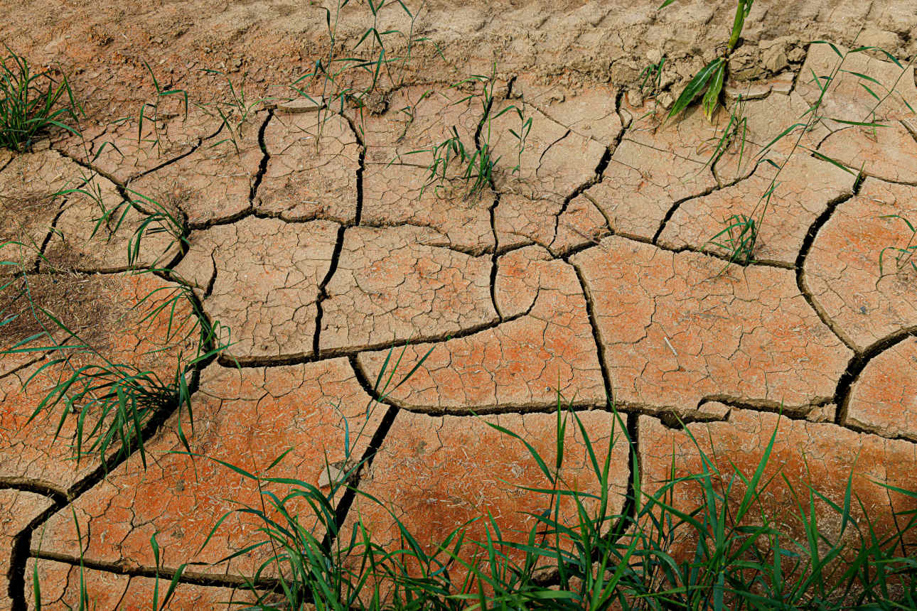 Ackerboden mit Trockenrisse, Deutschland, Bayern, Isental arable land with dry cracks, Germany, Bavaria, Isental BLWS67 Ackerboden mit Trockenrisse, Praxis-Talk #09, Wasser